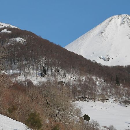 Hotel Restaurant Aux Genets D'Or Mandailles-Saint-Julien エクステリア 写真