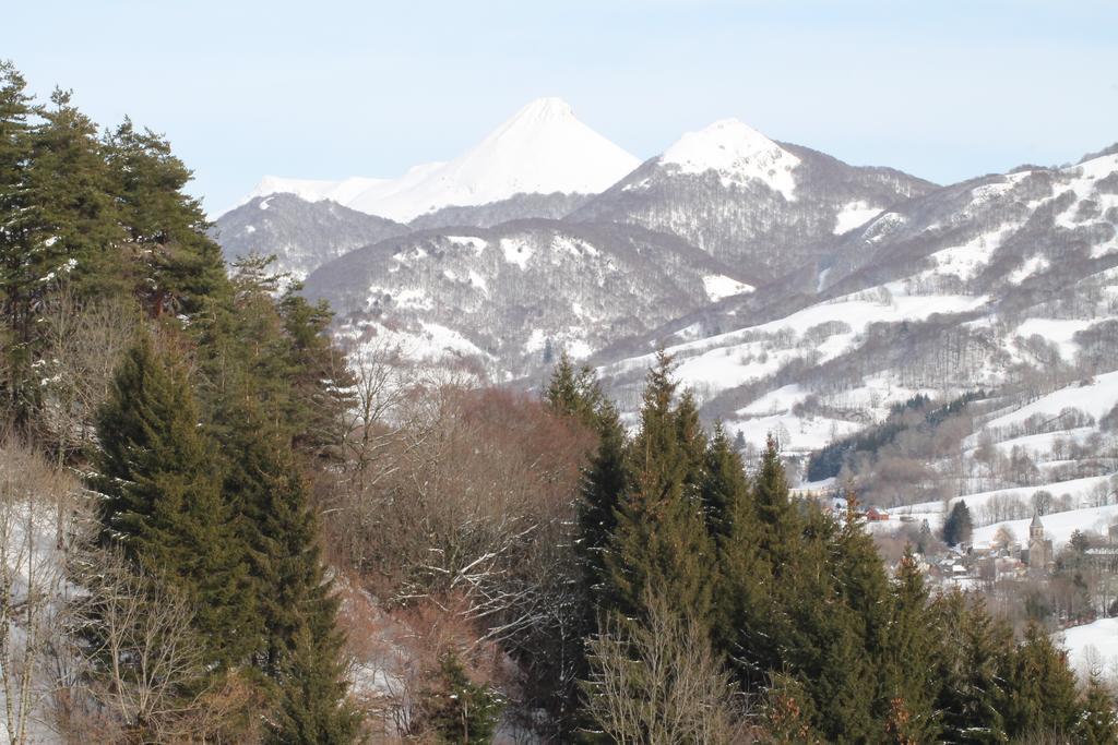 Hotel Restaurant Aux Genets D'Or Mandailles-Saint-Julien エクステリア 写真