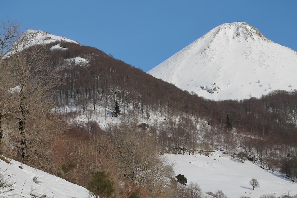 Hotel Restaurant Aux Genets D'Or Mandailles-Saint-Julien エクステリア 写真